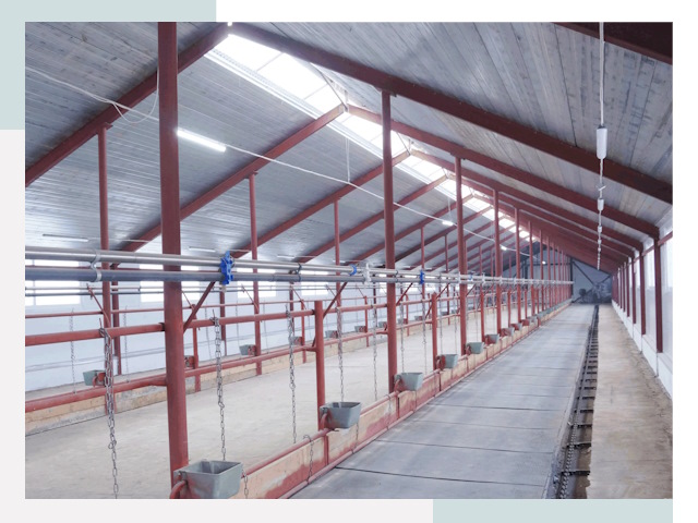 Строительство коровников в Климовске от 608 руб.