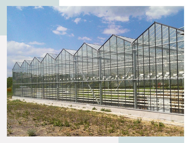 Строительство теплиц в Климовск от 608 руб. за м²