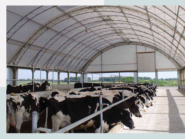Тентовые коровники в Климовске
